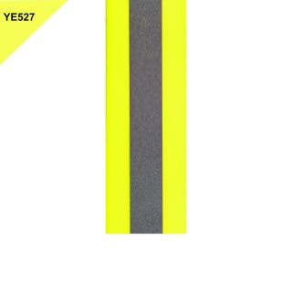 Biothane 25mm Beta reflective standard
