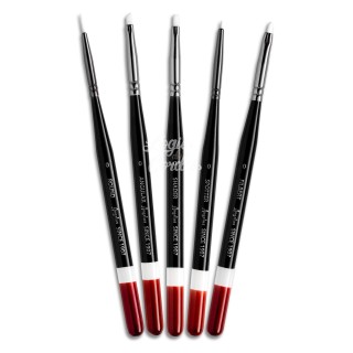 Angelus 5-brush precision set
