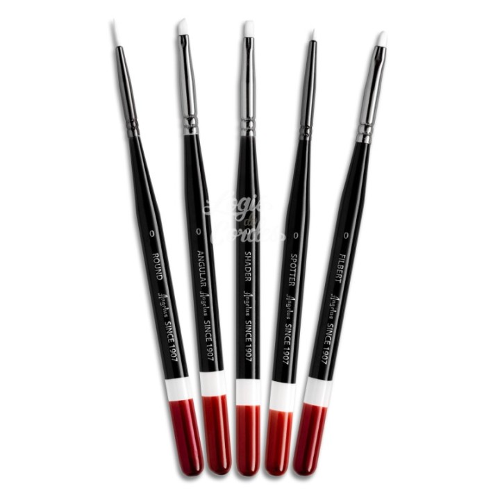 Angelus 5-brush precision set