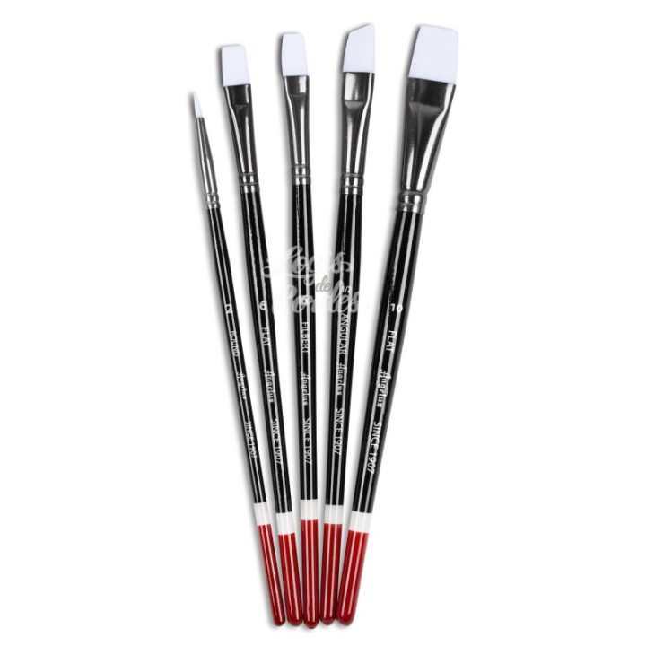 Angelus set of 5 brushes