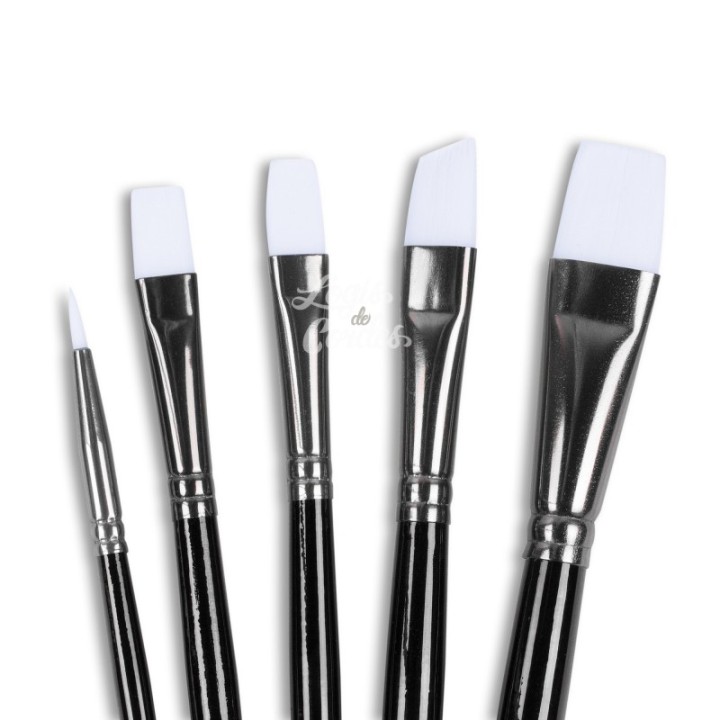 Angelus set of 5 brushes