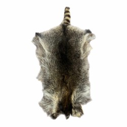 Racoon skin