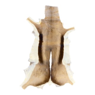 Peau d'antilope