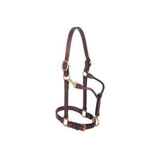 Weaver - 1" Track Halter, Canyon Rose size Horse