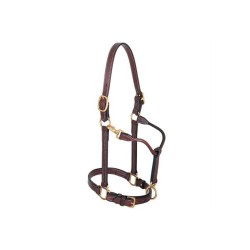 Weaver - 1" Track Halter,...