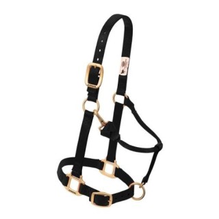 Original adjustable halter with a snap buckle at the chin and throat, 3/4"