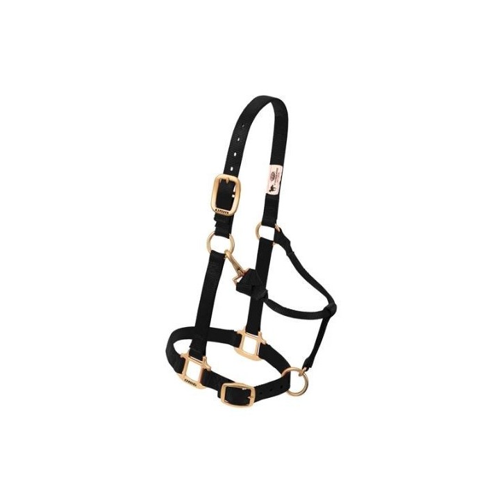 Original adjustable halter with a snap buckle at the chin and throat, 3/4"