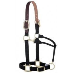 Licol réglable Breakaway...