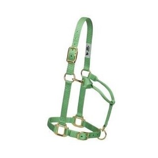 Original non-adjustable collar