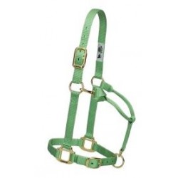 Licol original non réglable