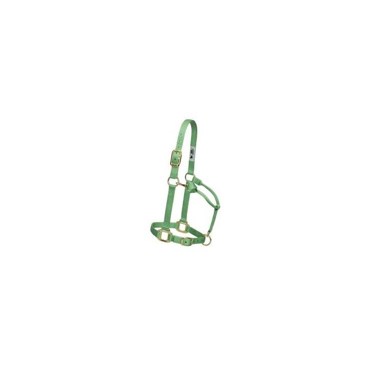 Original non-adjustable collar
