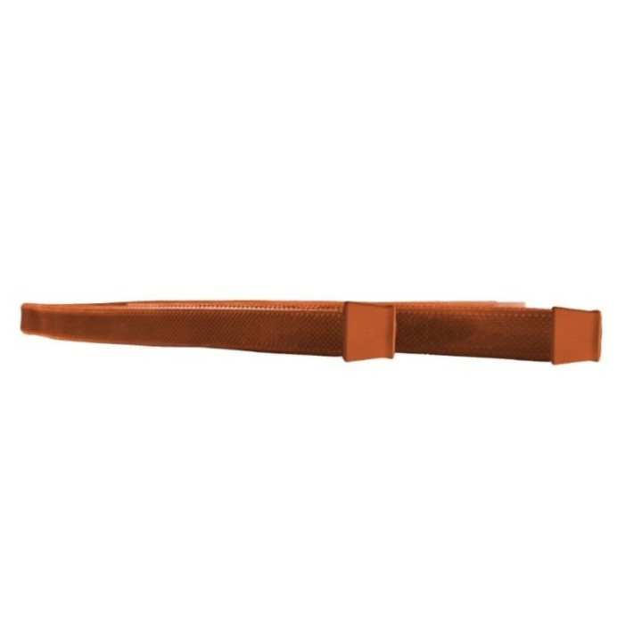 Paire de mains de rêne