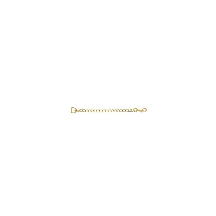 Brass lunge chain