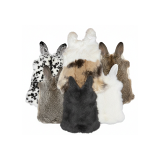 Rabbit Skin - premium