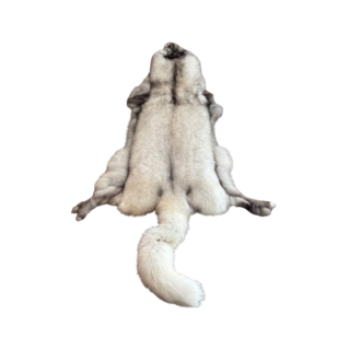 Bluefrost fox pelt