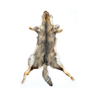 Peaux de renard