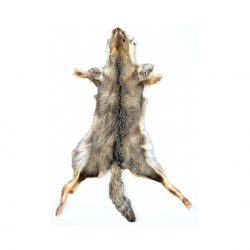 Peaux de renard
